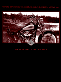 Manuel Softail 2001 en français